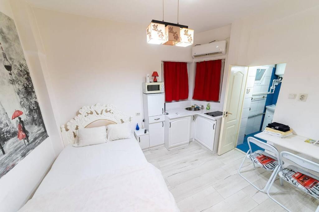 Cozybucharest Studio Екстер'єр фото